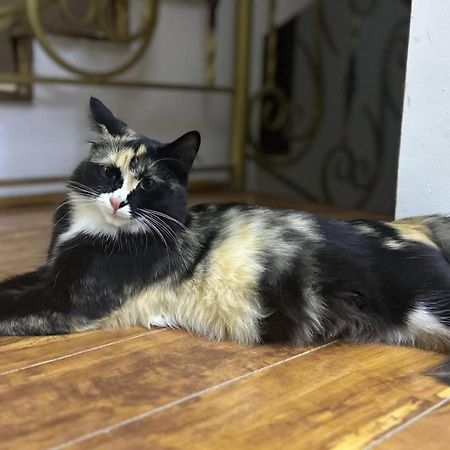 Guesto Hostel Taszkent Zewnętrze zdjęcie
